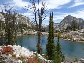 Those trees. Those lakes. Those mountains.