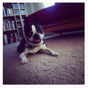 note missing teeth. Bar fight 2006.